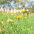 Image-square_50
