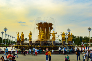 Image-preview_300x200