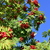 Image-square_50