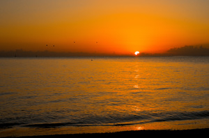 Image-preview_300x200