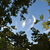 Image-square_50