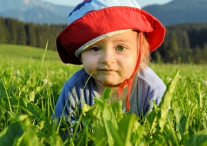 Image-preview_300x200