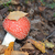Image-square_50