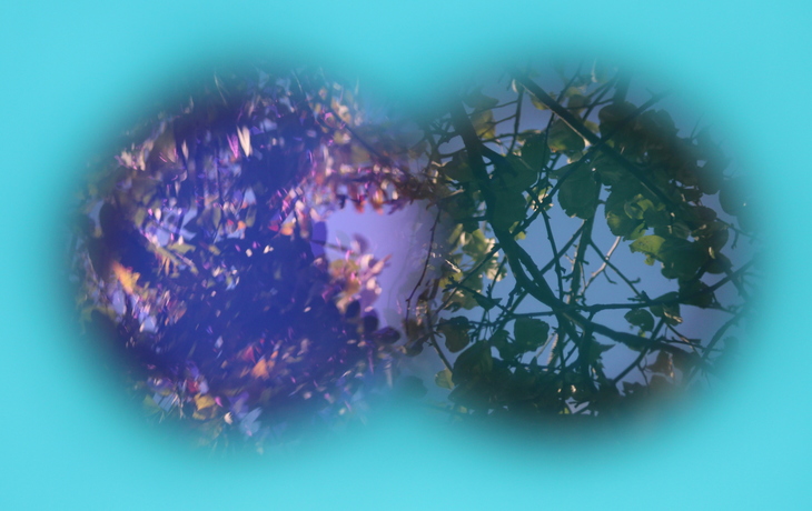 Image-normal