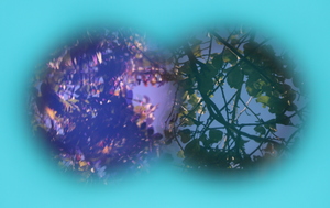 Image-preview_300x200