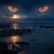 Image-square_50
