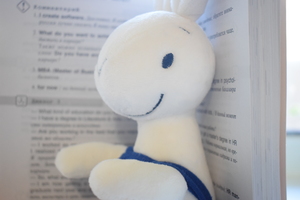Image-preview_300x200