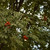 Image-square_50