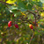 Image-square_50