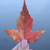 Image-square_50