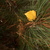 Image-square_50