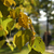 Image-square_50