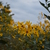Image-square_50