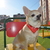 Image-square_50