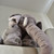 Image-square_50
