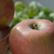 Image-square_50