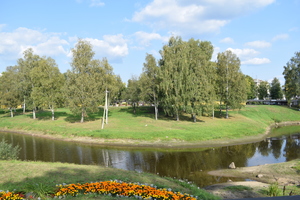 Image-preview_300x200