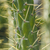 Image-square_50