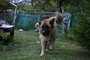 Image-preview_300x200