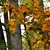 Image-square_50