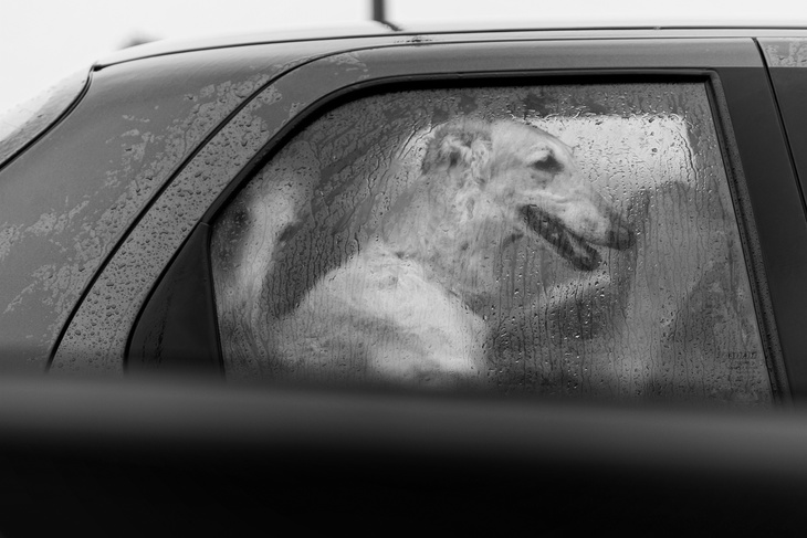 Image-normal