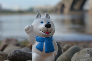 Image-preview_300x200