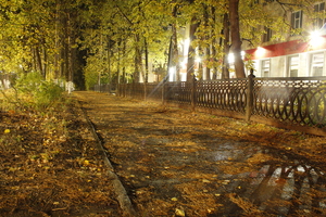Image-preview_300x200
