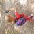 Image-square_50