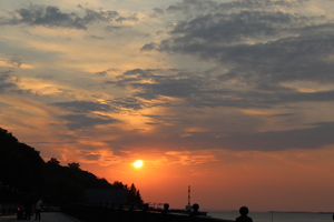 Image-preview_300x200