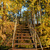 Image-square_50