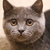 Image-square_50