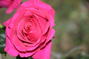 Image-preview_300x200