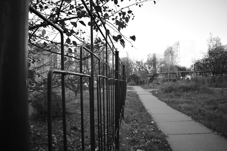 Image-normal