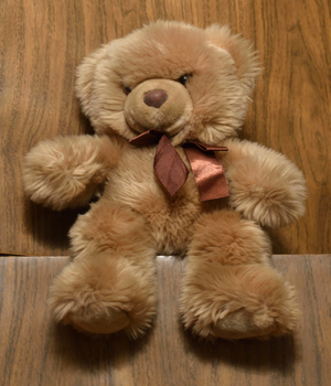Image-preview_300x200