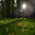 Image-square_50