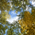Image-square_50