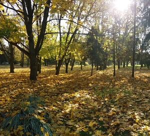 Image-preview_300x200