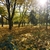 Image-square_50