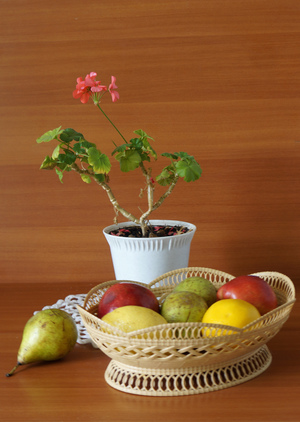 Image-preview_300x200