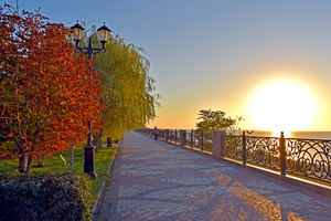 Image-preview_300x200