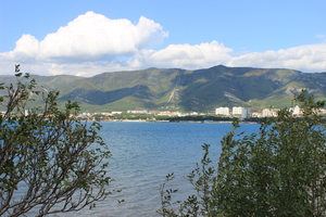 Image-preview_300x200