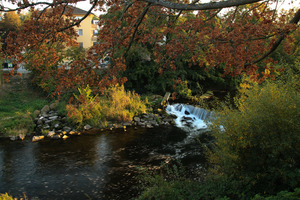 Image-preview_300x200