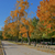 Image-square_50