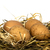 Image-square_50