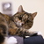 Image-square_50