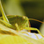 Image-square_50