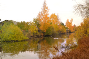 Image-preview_300x200