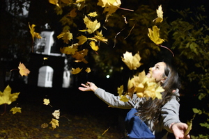 Image-preview_300x200