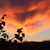 Image-square_50