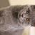 Image-square_50